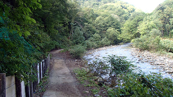 川沿いの遊歩道